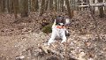My partner keeping watch